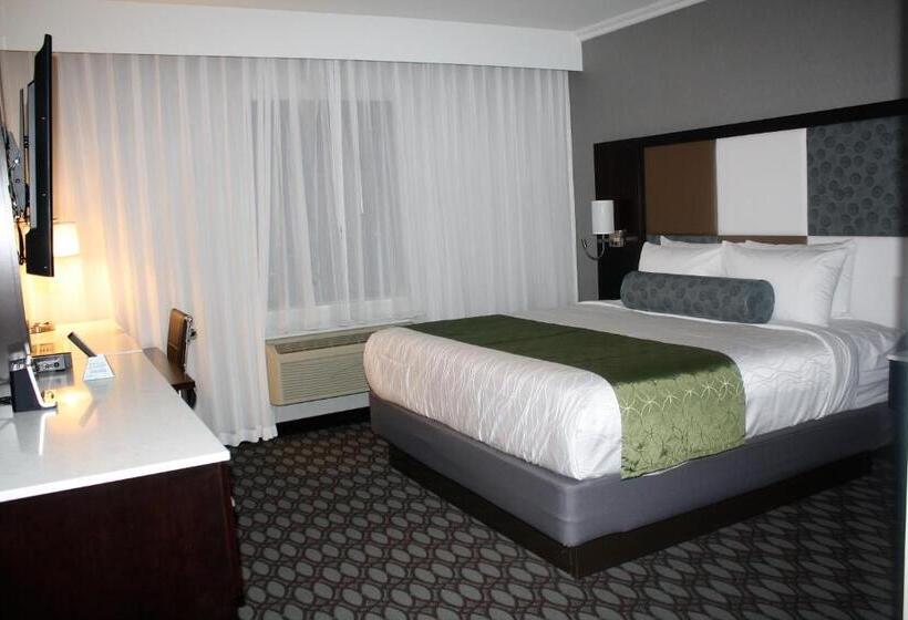 스위트 킹사이즈 침대, Best Western Premier Nyc Gateway