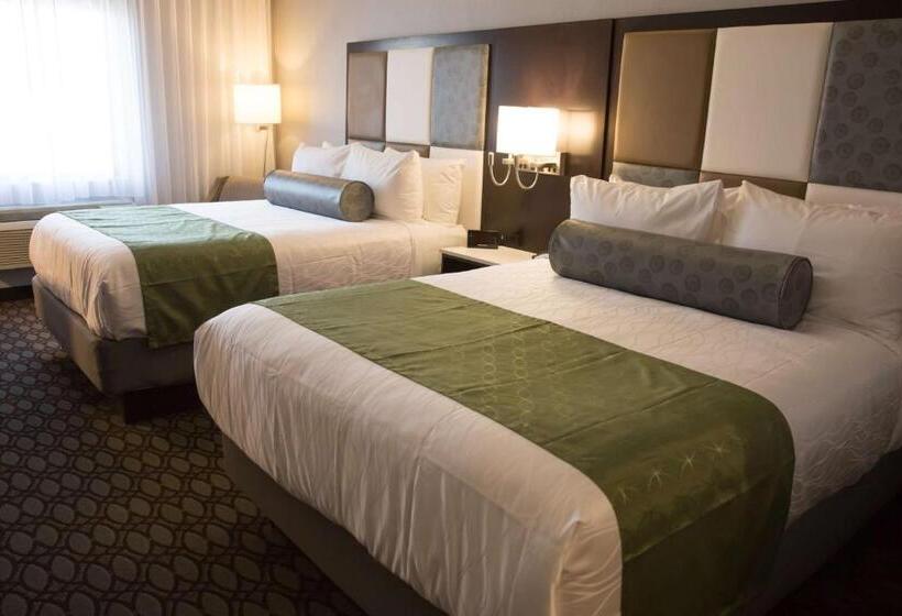 이그제큐티브 룸, Best Western Premier Nyc Gateway