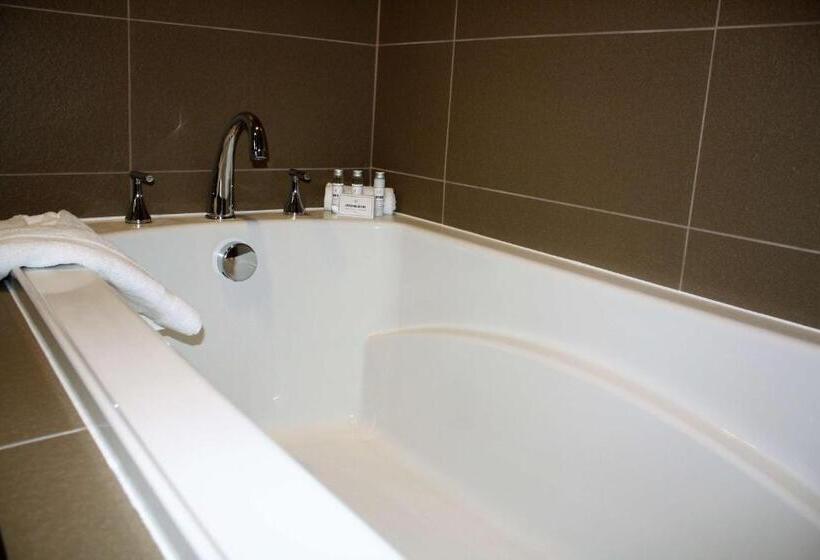 스위트 킹사이즈 침대, Best Western Premier Nyc Gateway