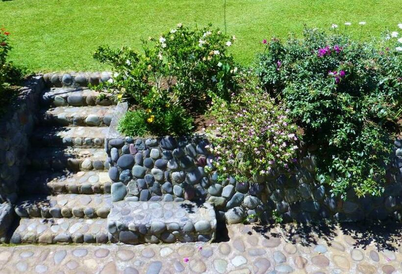 Номер Стандарт, Finca El Cielo