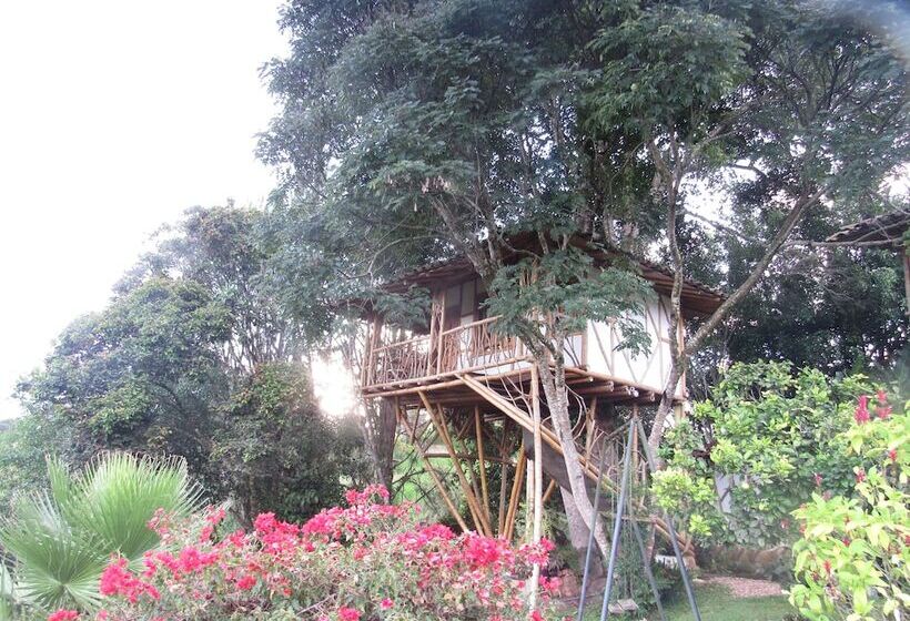 Номер Стандарт, Finca El Cielo