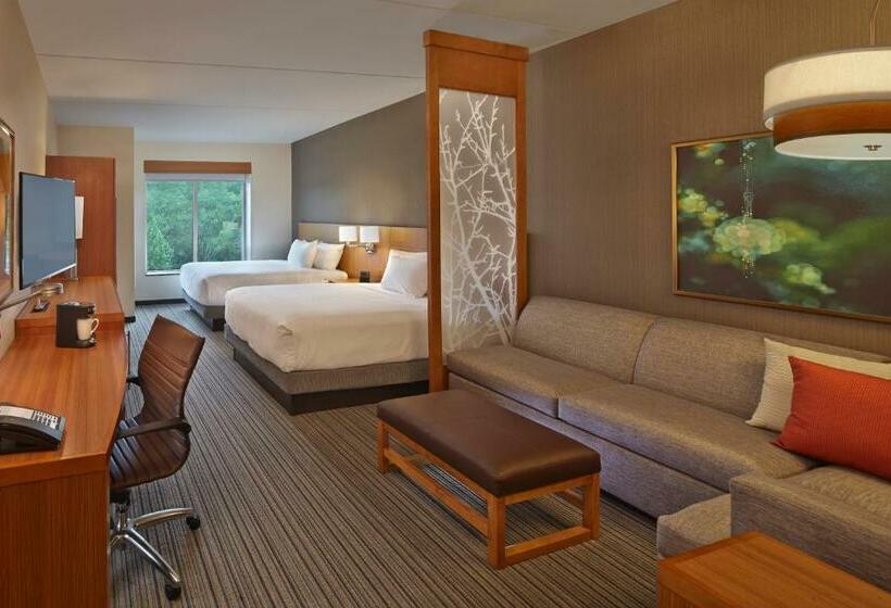 Номер Стандарт Кровать Кинг Адаптированный для Инвалидов, Hyatt Place Chapel Hill