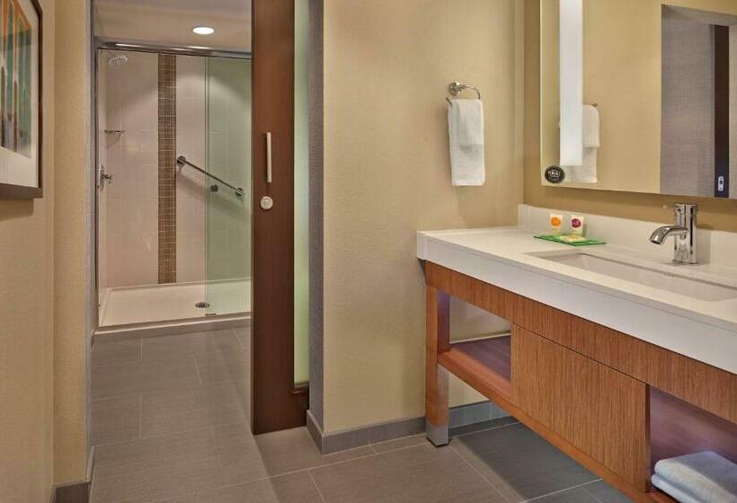 Стандартный Номер Кровать Кинг, Hyatt Place Chapel Hill