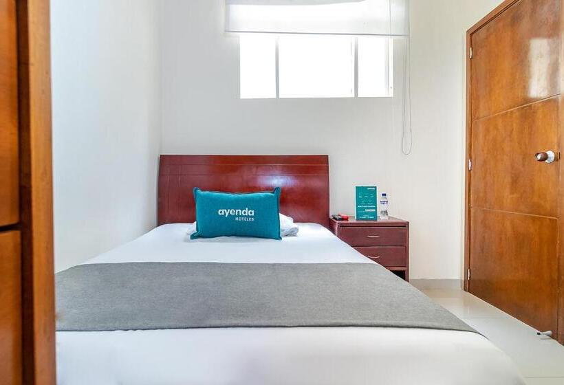 اتاق استاندارد یک نفره, Nabusimake Modelia