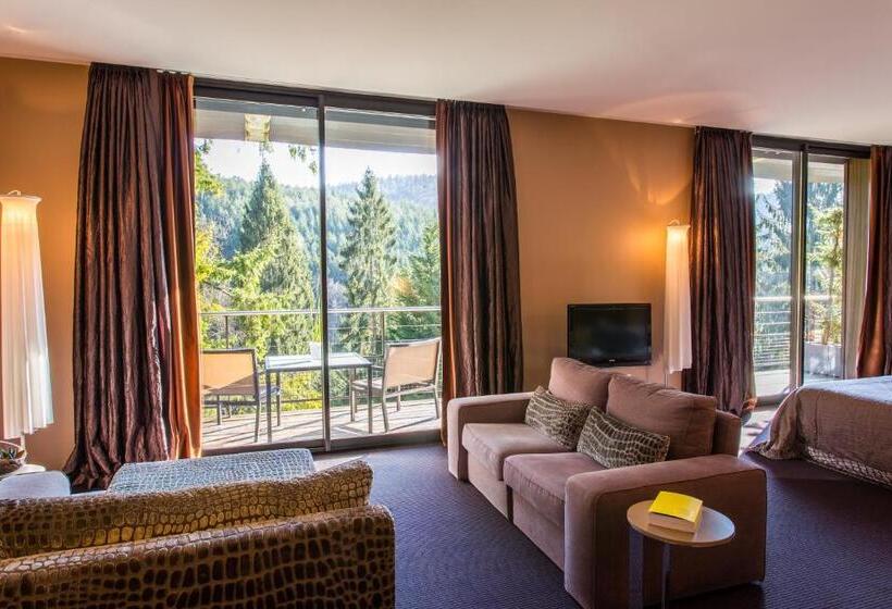 Люкс Повышенной Комфортности, Restaurant Hôtel L'arnsbourg