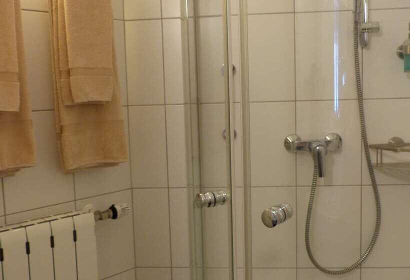 Студия Стандарт, Altstadt Hotel Gelnhausen