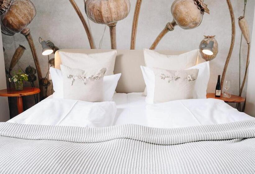 스탠다드 룸, Boutiquehotel Kloster Pfalzel
