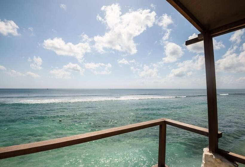 بنجلو ديلوكس, Rock'n Reef