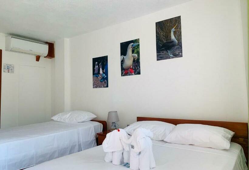 Номер Стандарт Двуспальная Кровать, Hostal White House Galapagos