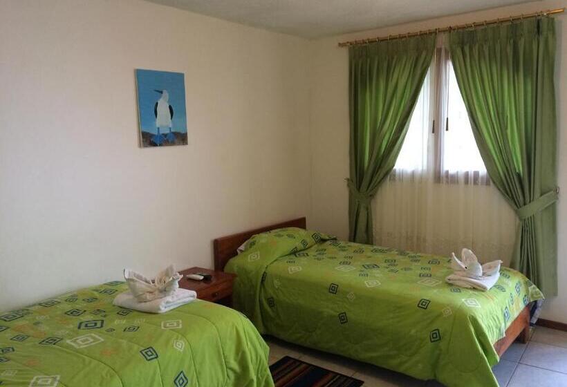 Номер Стандарт Трехместный, Hostal White House Galapagos