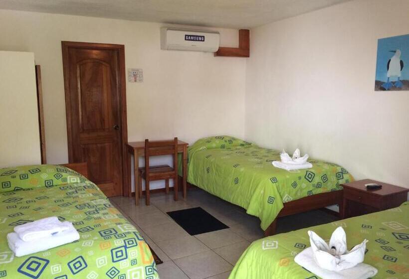 Номер Стандарт, Hostal White House Galapagos