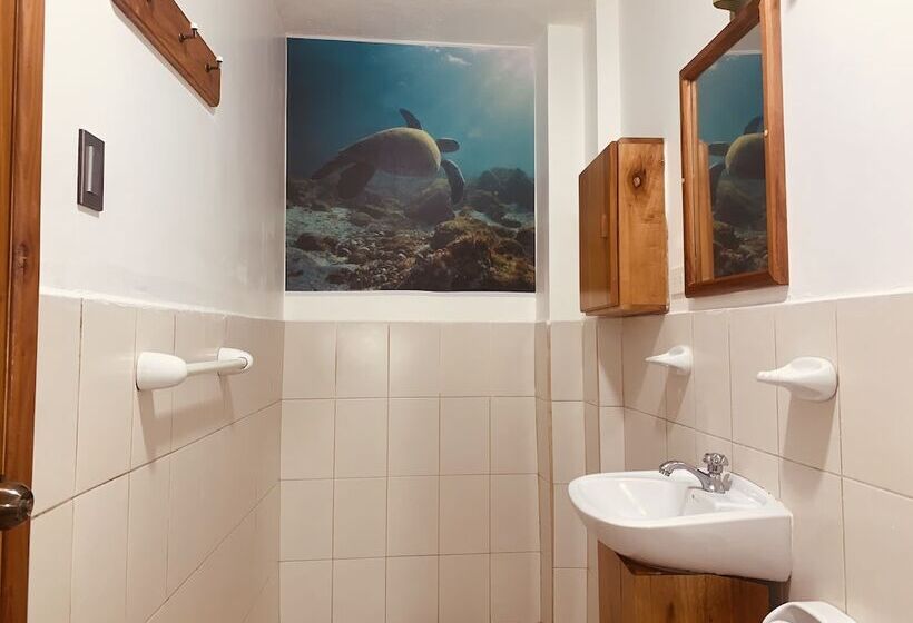 Номер Стандарт Трехместный, Hostal White House Galapagos