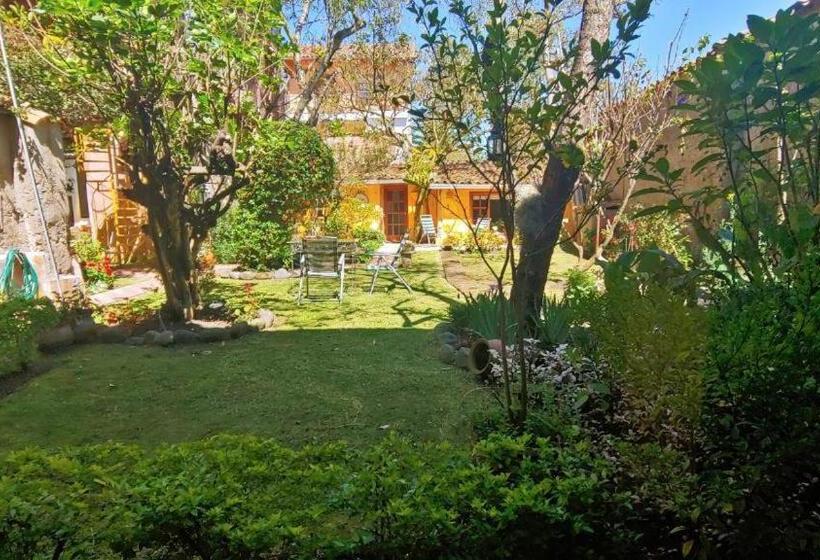 חדר דלוקס, Casa Montalvo Bed & Breakfast