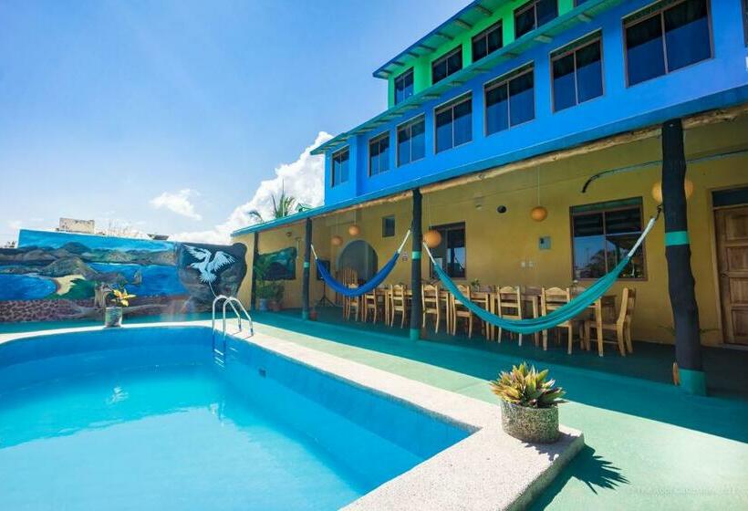 Трехместный Номер Классика, Galapagos Verde Azul