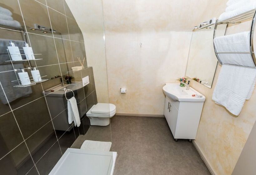 Номер Superior, Le Petit Chateau Guest House