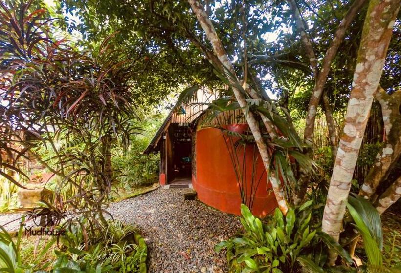 Номер Стандарт, The Mudhouse Hostel Mompiche