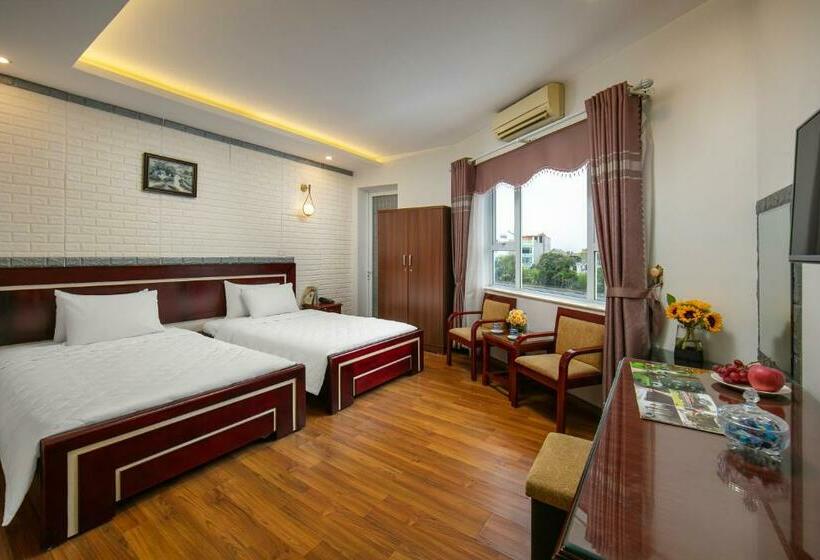 اتاق لوکس با بالکن, New Airport Hotels