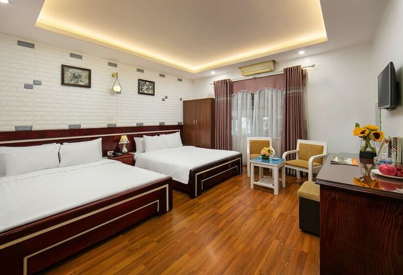 اتاق سوپریور, New Airport Hotels