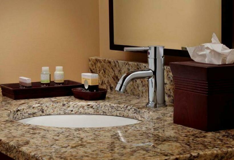 身障者適用キングサイズベッドルーム, Tailwater Lodge Altmar, Tapestry Collection By Hilton