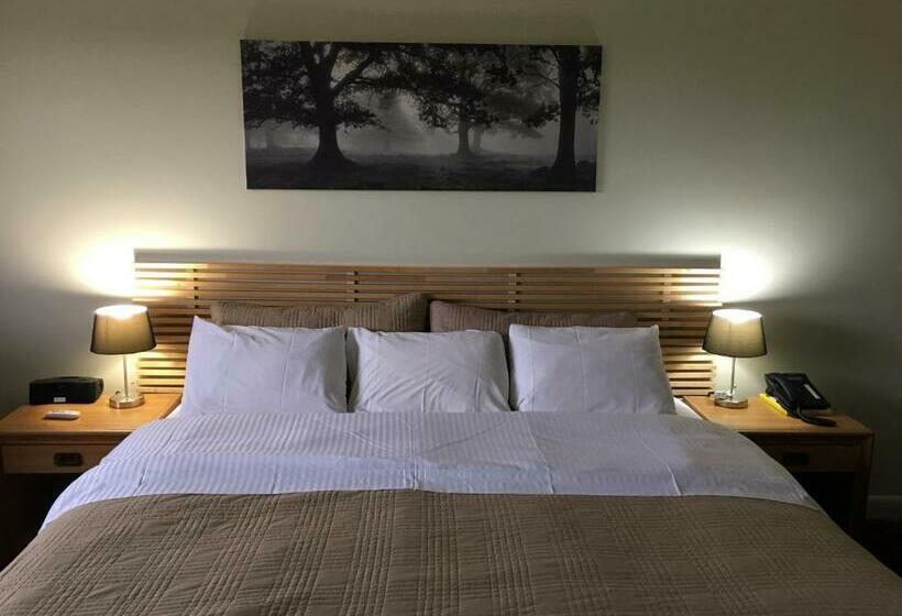 Стандартный Номер Кровать Кинг, Lord Nelson Motel
