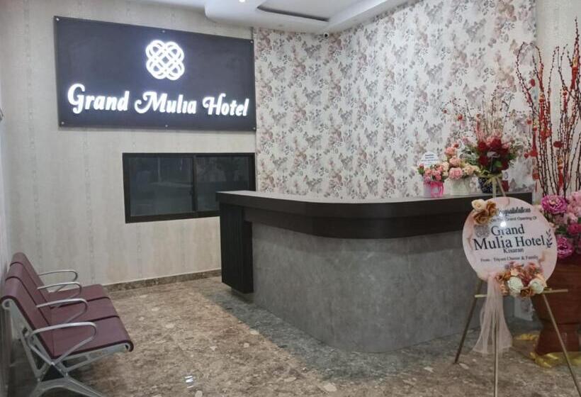 Номер Deluxe Кровать Кинг, Grand Mulia Hotel Kisaran