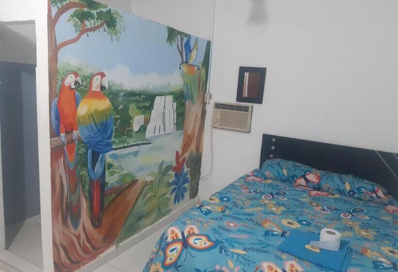 Номер Стандарт, Hostal Nuevo Hollywood