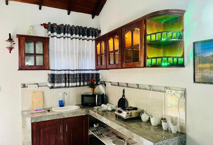 Номер Deluxe Кровать Кинг, Villa Roy Bentota