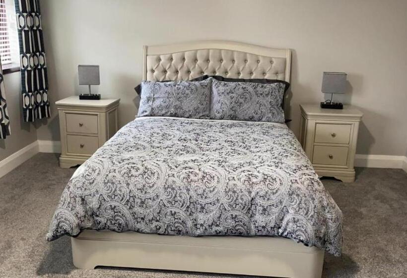 스탠다드 룸, Johnny Murphy S Guest Rooms