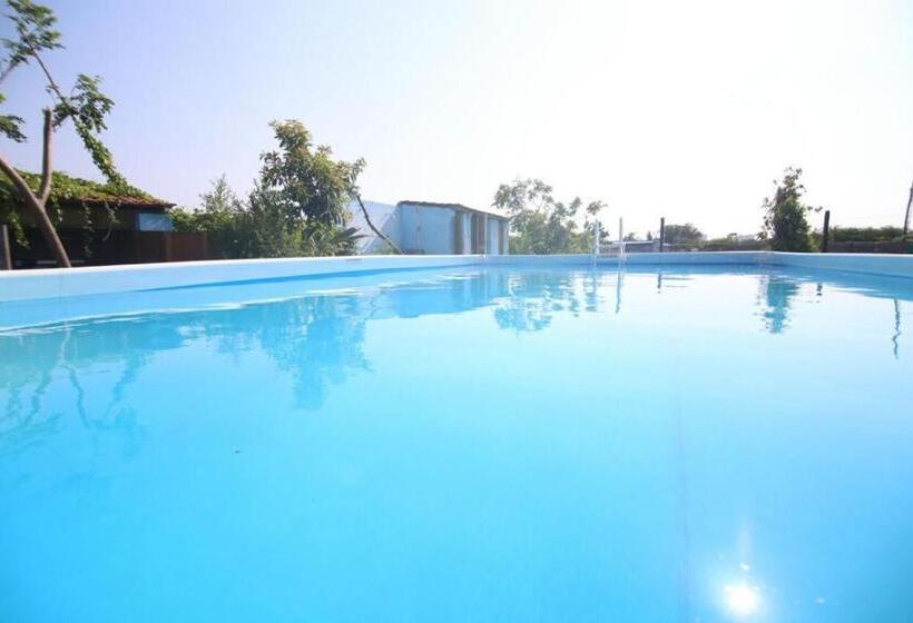 Номер Стандарт, Rose Beach Resort