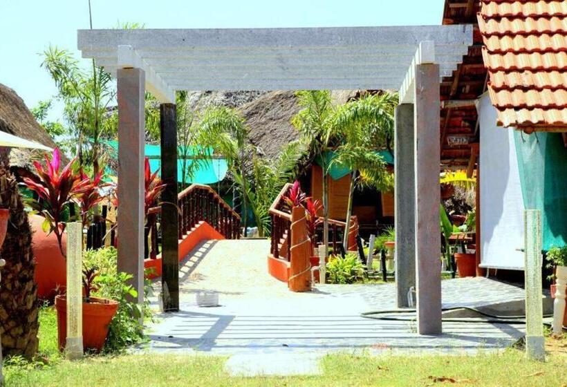 Семейный Номер, Rose Beach Resort