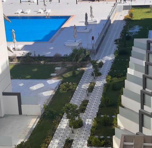 استودیوی استاندارد, استدديك