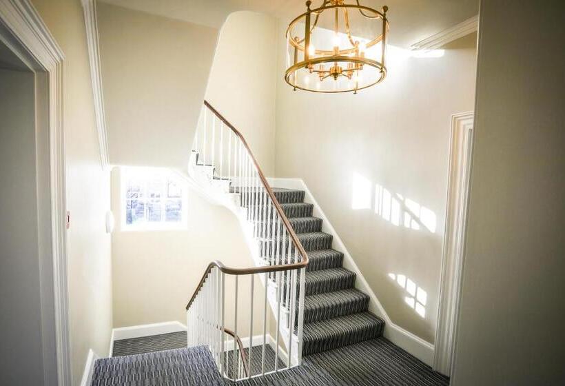 Standard Room, The Lazy Goose   Coffee House & Bedrooms
