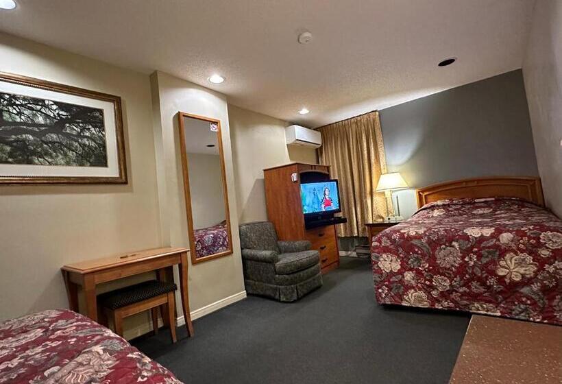 浴室共有スタンダード４人用ルーム, Nox Hostel