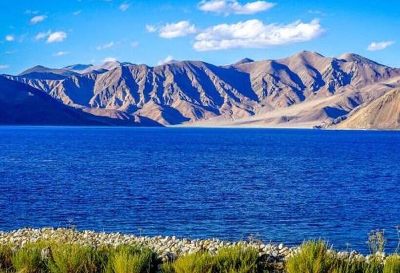 Номер Deluxe, Blue Chill Cottage Pangong