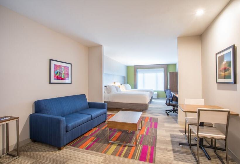 스위트, Holiday Inn Express & Suites Owings Mills Baltimore Area, An Ihg