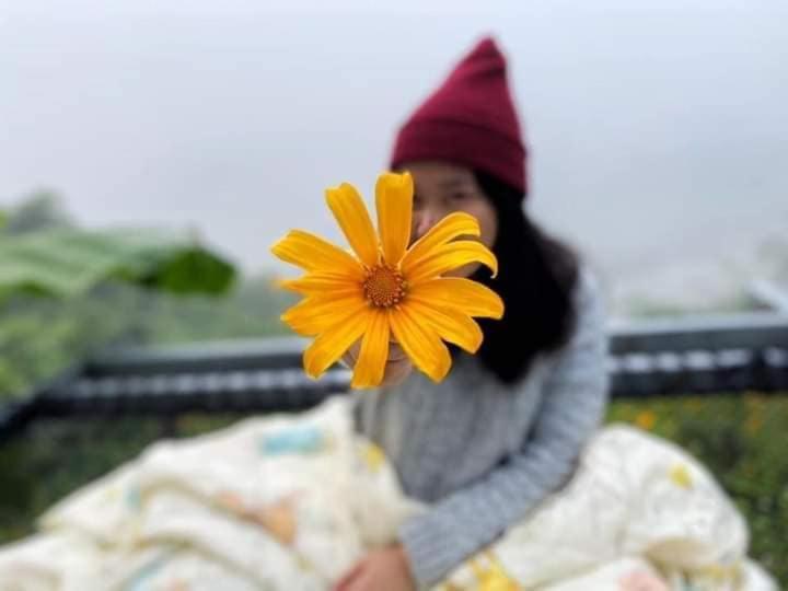 Номер Стандарт с Балконом, Doi Sang Farm Stay   ดอยซางฟาร์มสเตย์