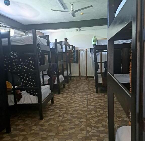 Кровать в Общей Комнате, Hidden Jems Mahahual Hostel