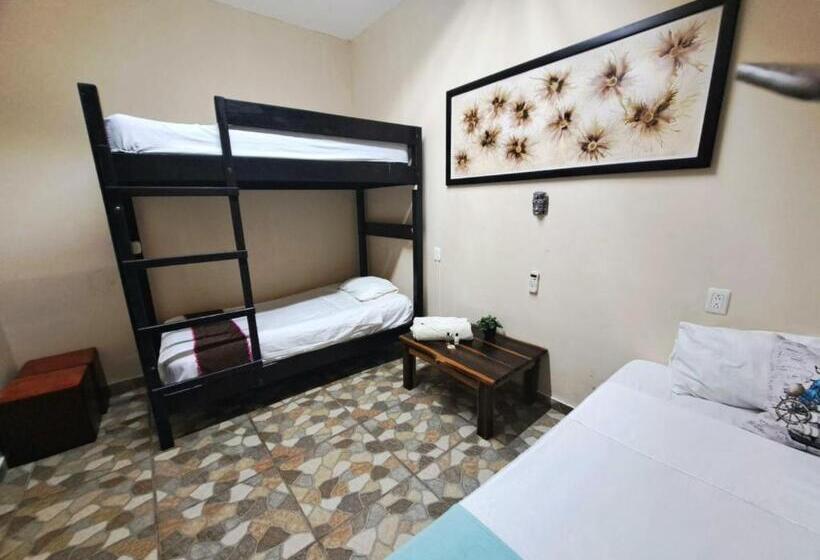 Семейный Номер, Hidden Jems Mahahual Hostel