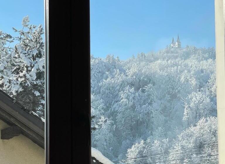 آپارتمان 1 خوابه با تراس, All Seasons Apartments Laško