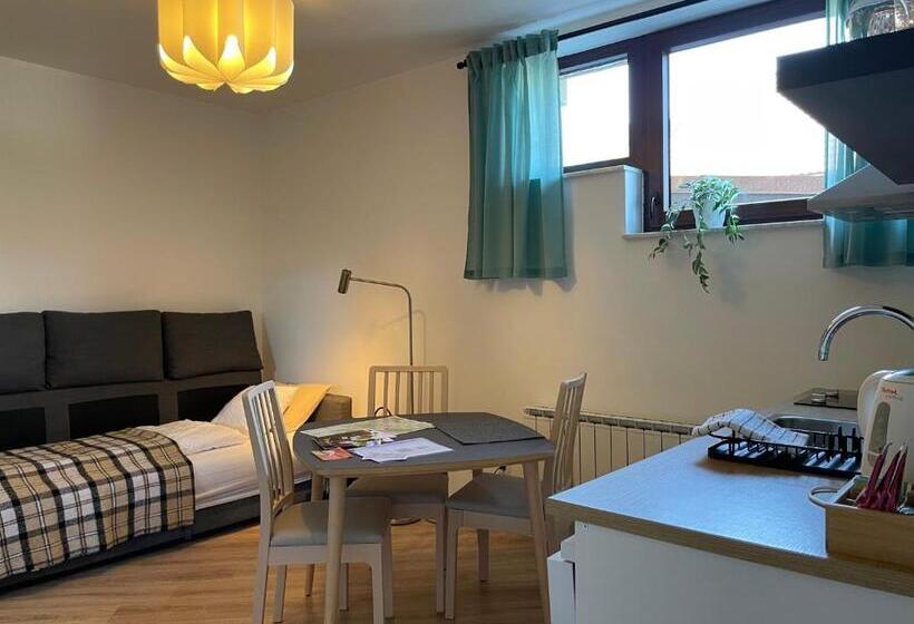 آپارتمان 1 خوابه, All Seasons Apartments Laško