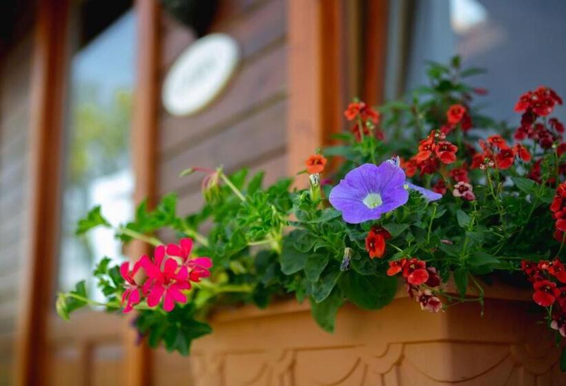 Студия Стандарт, Middlewick Holiday Cottages