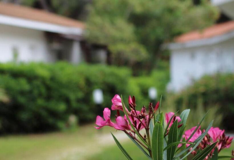اتاق استاندارد چهار تخته, Bv Kalafiorita Resort