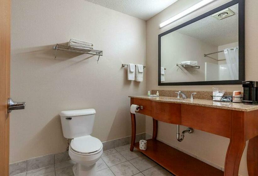 Люкс Кровать Кинг, Quality Inn