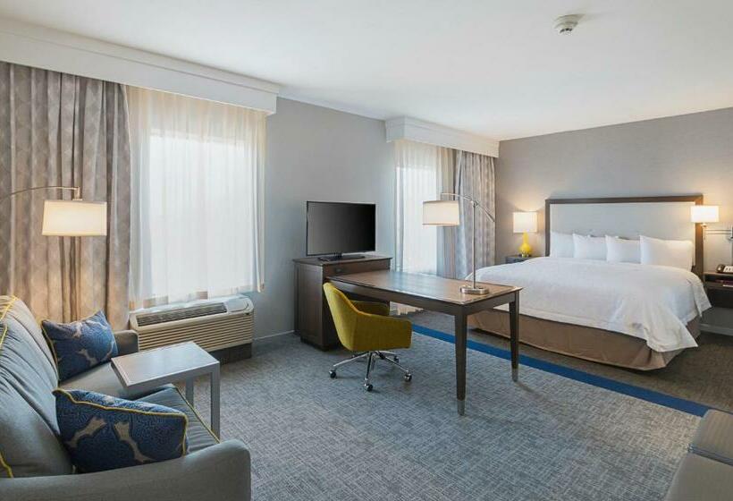 이그제큐티브 룸 킹사이즈 침대, Hampton Inn & Suites Colleyville Dfw Airport West