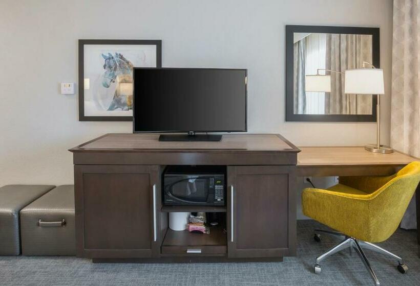 스탠다드 룸 킹사이즈 침대, Hampton Inn & Suites Colleyville Dfw Airport West
