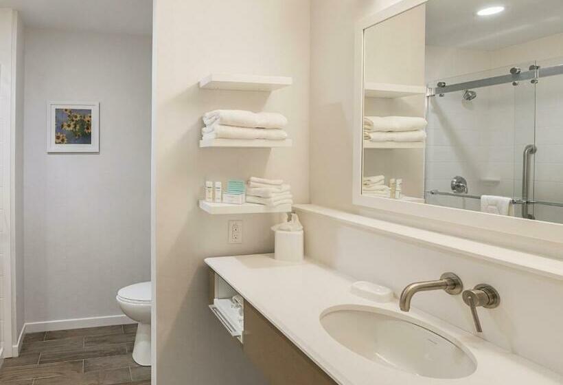 Номер Executive Кровать Кинг, Hampton Inn & Suites Colleyville Dfw Airport West