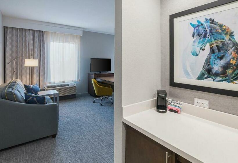 이그제큐티브 룸 킹사이즈 침대, Hampton Inn & Suites Colleyville Dfw Airport West
