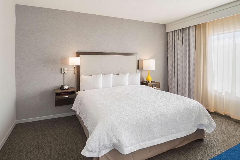 스탠다드 룸 킹사이즈 침대, Hampton Inn & Suites Colleyville Dfw Airport West