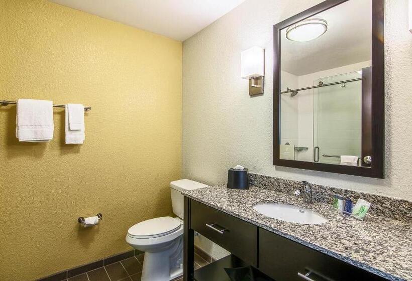 חדר סטנדרט, Sleep Inn & Suites Westnear Medical Center