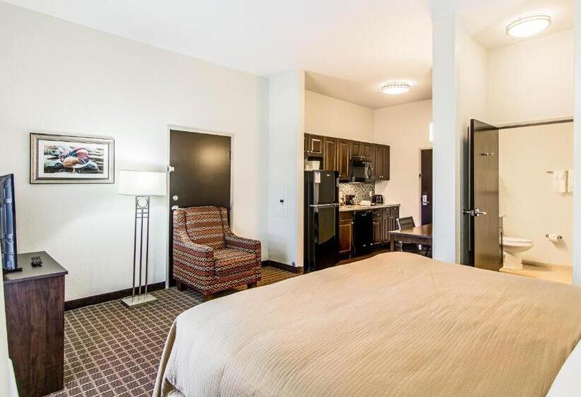 Люкс Адаптированный для Инвалидов, Sleep Inn & Suites Westnear Medical Center